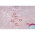 66ac8075d55ab6a8248fc4c9acc03e60