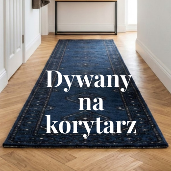 Dywany do przedpokoju